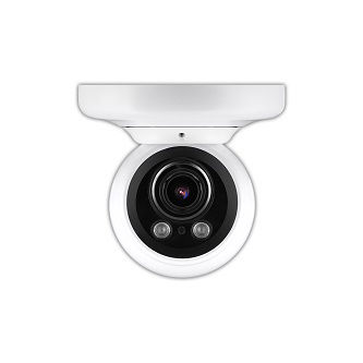Digital Watchdog MEGApix IVA+ Indoor/Outdoor Vandal Ball